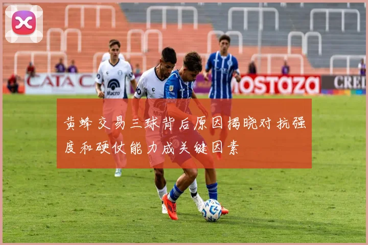 黄蜂交易三球背后原因揭晓对抗强度和硬仗能力成关键因素