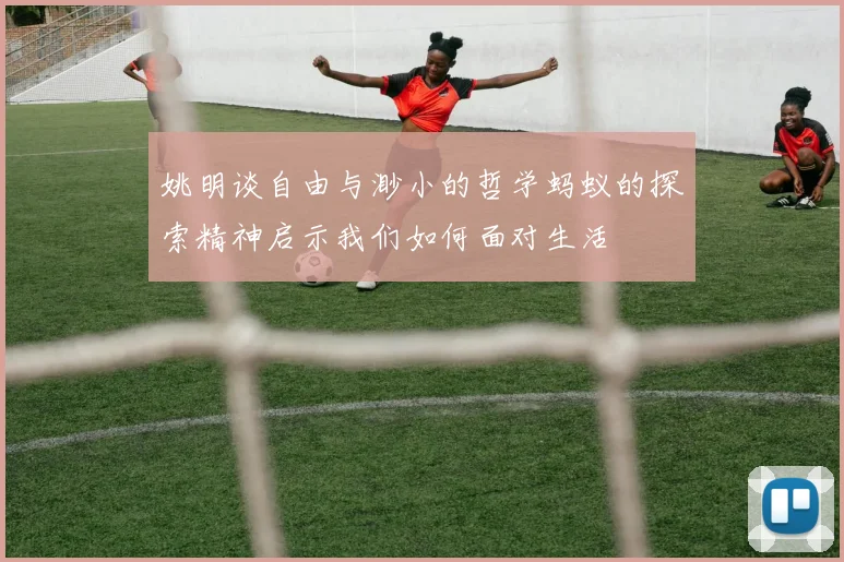 姚明谈自由与渺小的哲学蚂蚁的探索精神启示我们如何面对生活